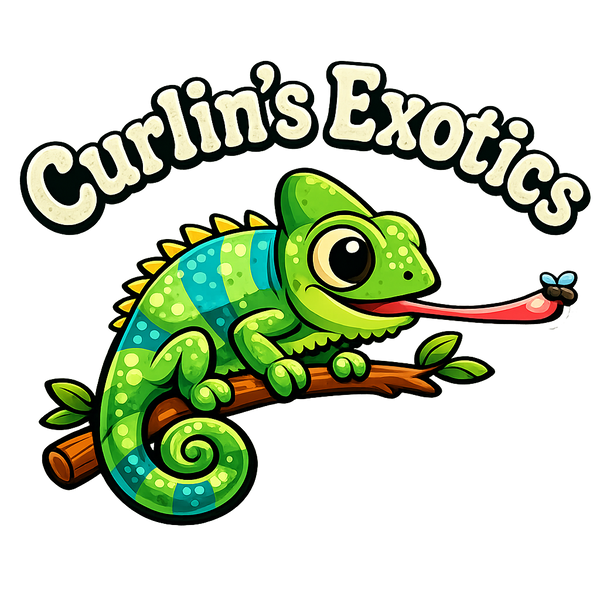 Curlin's Exotics
